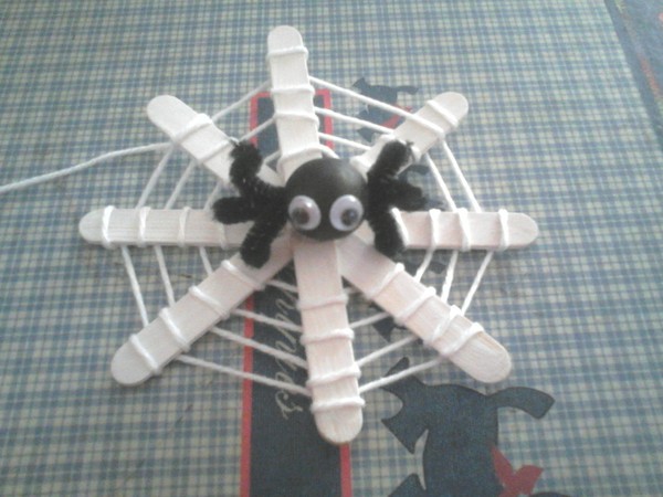 araignée sur sa toile 2